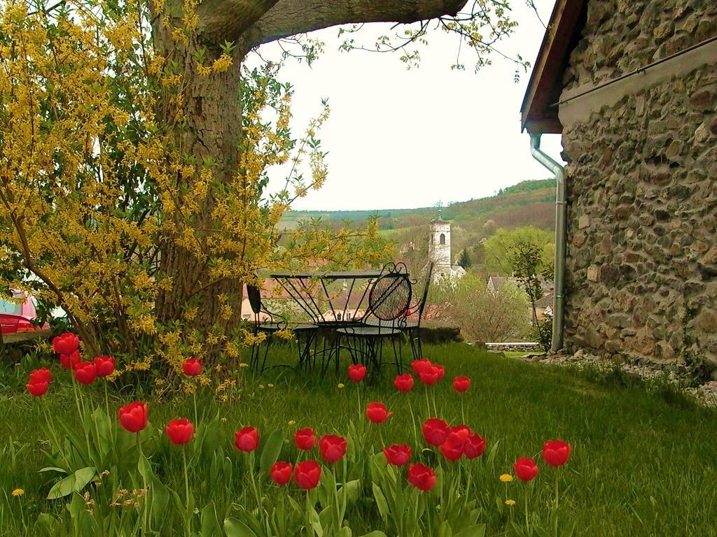 Kapolcs Cottage Экстерьер фото